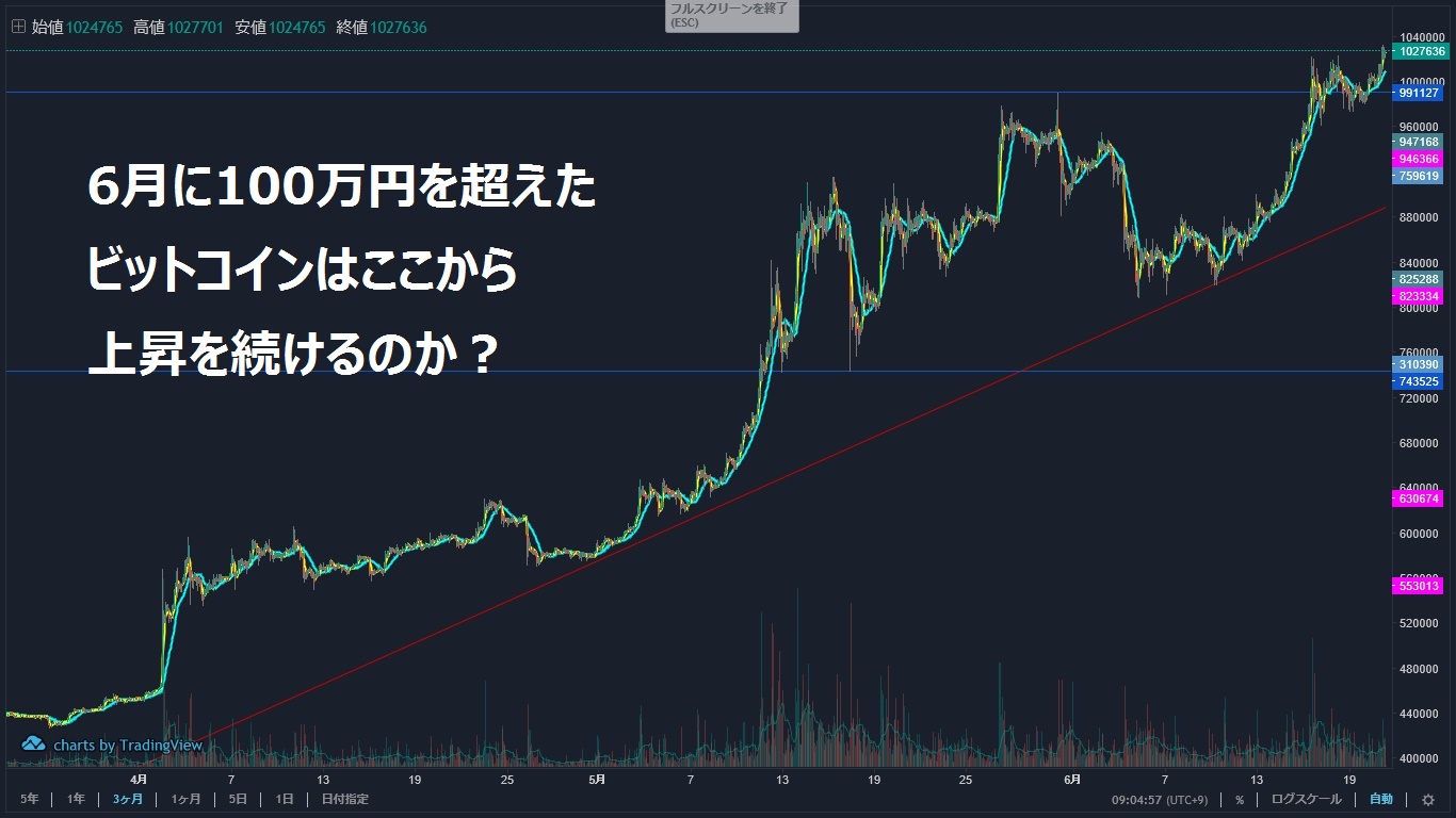 100万を超えたビットコイン価格推移を徹底分析!~19年6月~